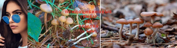 кокаин Баксан